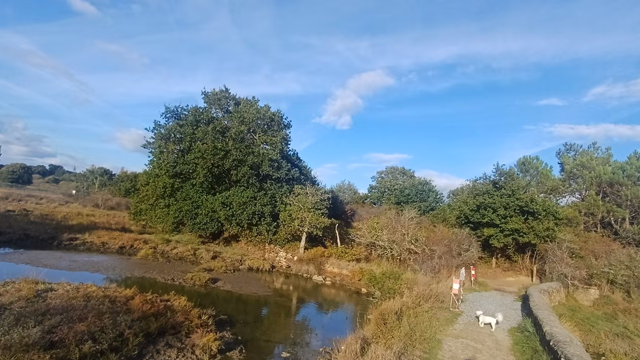 À Séné, la suppression d’une digue pour s’adapter au changement climatique laisse les riverains sceptiques